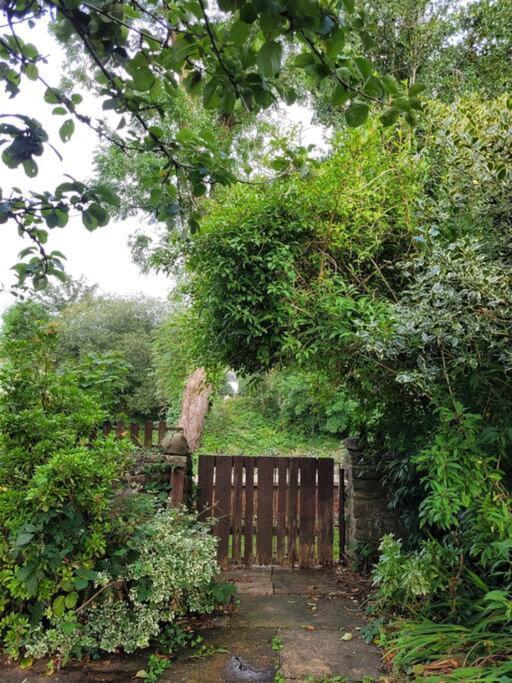 Riverside Bungalow - Direct River Access! Ystradgynlais 外观 照片